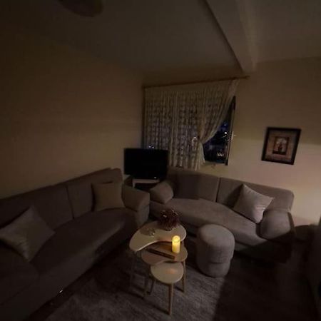 Quiet, Cozy, Luminous Apartment Tirana Eksteriør billede