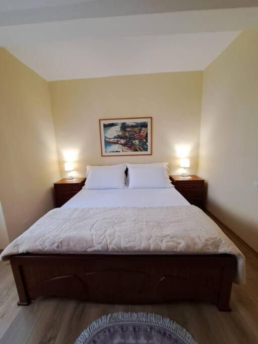 Quiet, Cozy, Luminous Apartment Tirana Eksteriør billede