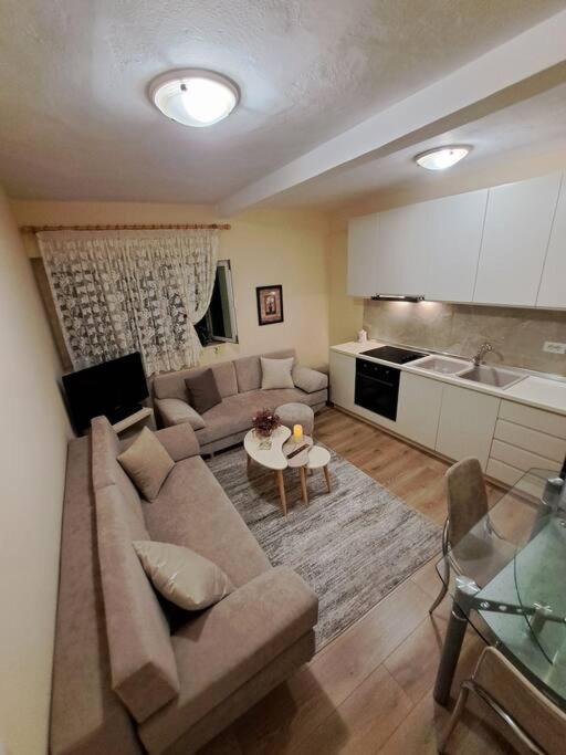 Quiet, Cozy, Luminous Apartment Tirana Eksteriør billede