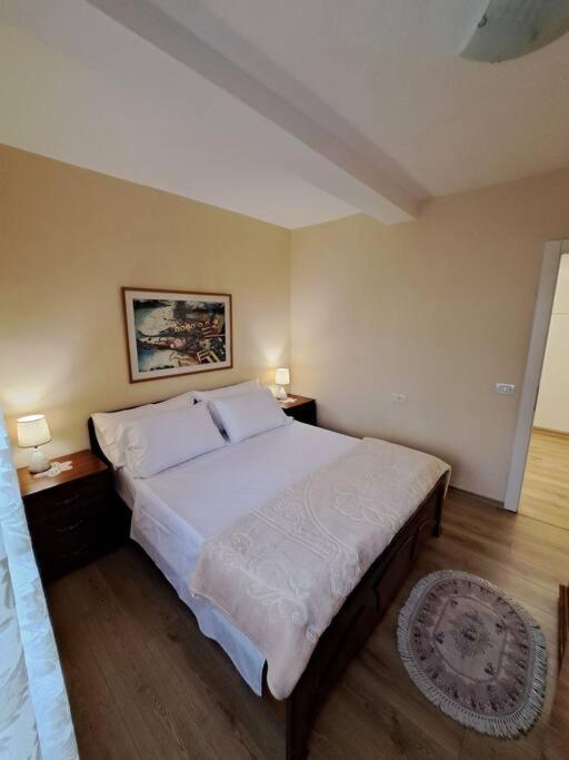 Quiet, Cozy, Luminous Apartment Tirana Eksteriør billede