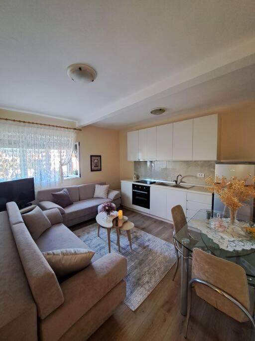 Quiet, Cozy, Luminous Apartment Tirana Eksteriør billede